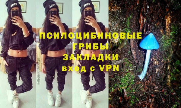 молекула духа Волоколамск