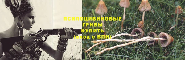 молекула духа Володарск