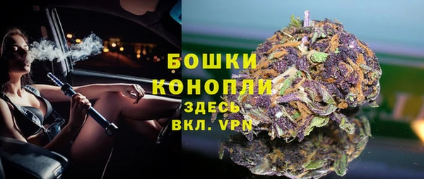 молекула духа Володарск