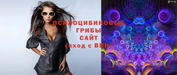 молекула духа Володарск
